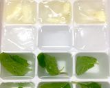 ☆ハーブとレモンキューブの炭酸水☆作り方2写真