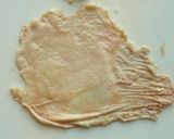 トリカワギョーザ作り方3写真