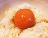 冷凍たまごで、漬けたまご作り方8写真