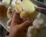 カエルのクリームパン作り方3写真