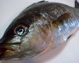 いさぎ（いさき）のトマトソース煮作り方1写真