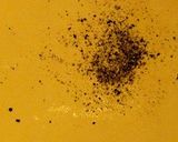 天使のつくロッピーサラダ作り方4写真