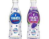 「カルピス」で作るアイスクリーム作り方1写真