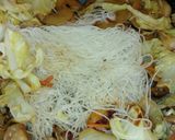 お野菜たっぷり焼きビーフン作り方6写真