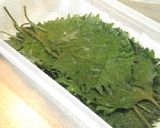 豚シソチーズロール作り方1写真