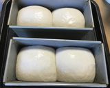 はるゆたか500gで食パン2本作り方4写真