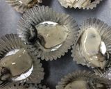 楽ちん♡牡蠣ホイル焼き １個から作れるよ作り方1写真