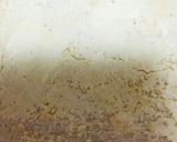 パンにアボガドと好きなものを乗せて☆作り方2写真