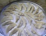 キラキラ元気餃子作り方4写真