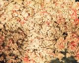 生のままで！?もやし&挽肉の春巻の皮包み作り方3写真