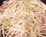 生のままで！?もやし&挽肉の春巻の皮包み作り方4写真