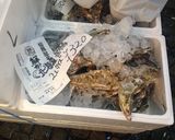 本マグロ中落ち、赤身は削ぎたてが美味い作り方19写真