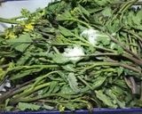 ホット＆クール 西洋カラシ菜のキムチ！作り方3写真