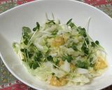 白菜と夏みかんの爽やかコールスロー作り方5写真