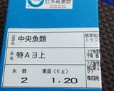 本マグロ中落ち、赤身は削ぎたてが美味い作り方31写真