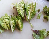 ごはんのお供：ふきのとう味噌・生味噌仕立作り方1写真