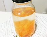 自家製ﾌﾙｰﾂ天然酵母液♪作り方3写真