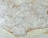 柔らかチキン南蛮にたっぷりタルタルソース作り方1写真