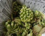 苦味ほんのり*ふきのとう軸の佃煮作り方2写真