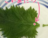 大葉の簡単なちぎり方作り方2写真