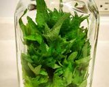 ✽大葉の保存☆２週間でもイキイキ作り方3写真