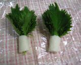 我が家のシソ保存方法作り方2写真