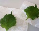 B級系！子供喜ぶ、梅チーズおにぎり作り方4写真