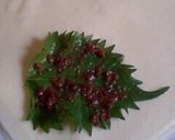 ささみの春巻き☆梅シソ風味作り方3写真