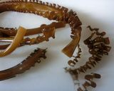 茎わかめ佃煮☆長期保存可☆簡単☆美味しい作り方2写真