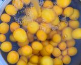 フルーツビネガー（きんかん酢）小・大びん作り方1写真