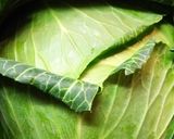 春キャベツをいただく幸せ。作り方1写真