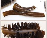 春☆茎わかめの佃煮（甘めゴマ生姜醤油味）作り方1写真