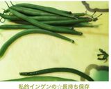 私的インゲンの☆長持ち保存作り方9写真
