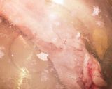豚肉塊☆シャンタンスープ作り方1写真