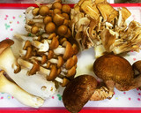 簡単たっぷりキノコだけバター炒め作り方1写真