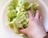 作り置き*春キャベツのさっぱり浅漬け作り方2写真