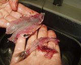 鰯のパン粉焼き☆アーモンド仕立て作り方5写真