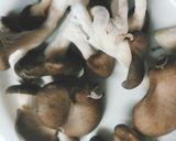 鳥皮とこんにゃくときのこの煮物作り方1写真