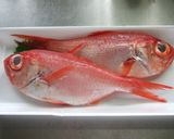 金目鯛の煮付け作り方1写真