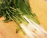 大根の葉のおひたし(ごはんやおにぎりに)作り方3写真