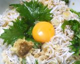 釜揚げしらす丼：シンプルな基本のスタイル作り方7写真