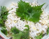 釜揚げしらす丼：シンプルな基本のスタイル作り方5写真