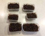 魚臭いのが苦手な夫が作るいかなごのくぎ煮作り方24写真