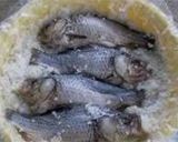 ふなずし作り方17写真