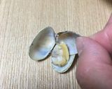 旨味がギュッ！あさりご飯作り方5写真