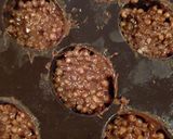 クランキー(クランチ)チョコ♡作り方7写真