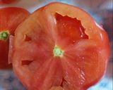硬めのトマトならトマトのグラタン~♪作り方1写真