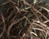 つくしの天麩羅作り方1写真