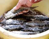 ふなずし作り方4写真