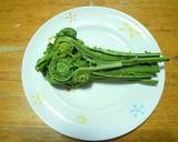 こごみとシーチキンの和え物作り方1写真
